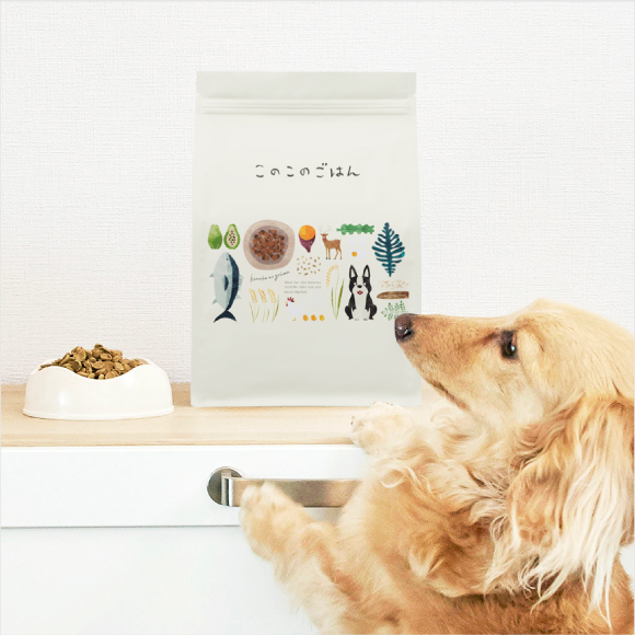 このこのごはん